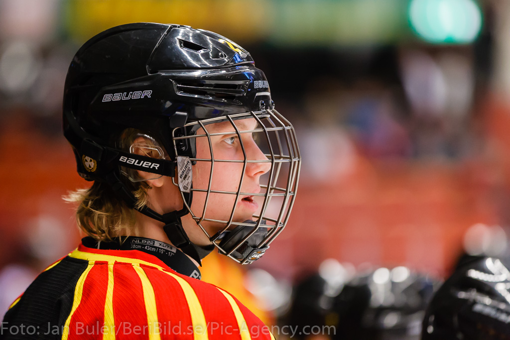 Brynäs,Gavlehov,Gavlerinken Arena,Gävle,Ishockey,Luleå,SHL,Sweden