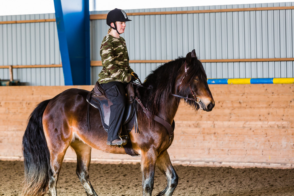 Gävle 2015-02-22 Olstorp Ridhus Hällvinn Westernridning