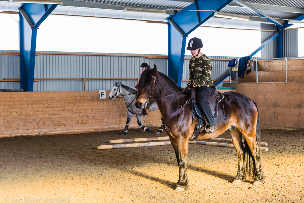 Gävle 2015-02-22 Olstorp Ridhus Hällvinn Westernridning