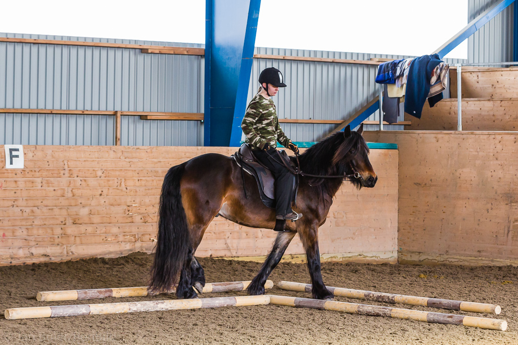 Gävle 2015-02-22 Olstorp Ridhus Hällvinn Westernridning