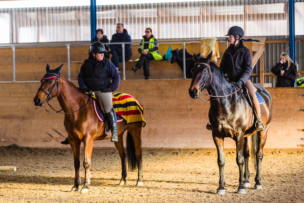 Gävle 2015-02-22 Olstorp Ridhus Hällvinn Westernridning