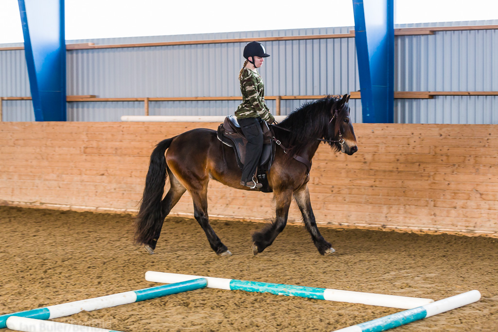 Gävle 2015-02-22 Olstorp Ridhus Hällvinn Westernridning