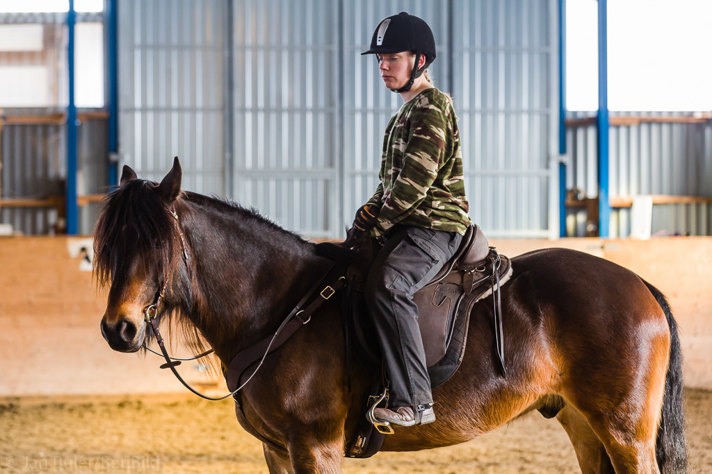 Gävle 2015-02-22 Olstorp Ridhus Hällvinn Westernridning