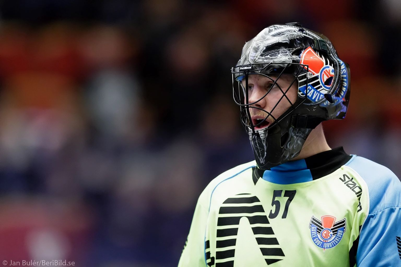 2015-11-30 Gävle - Sirius 2015-11-30 Gävle - Sirius