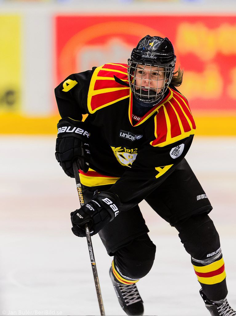 2017-01-14 Brynäs - Djurgården 2017-01-14 Brynäs - Djurgården