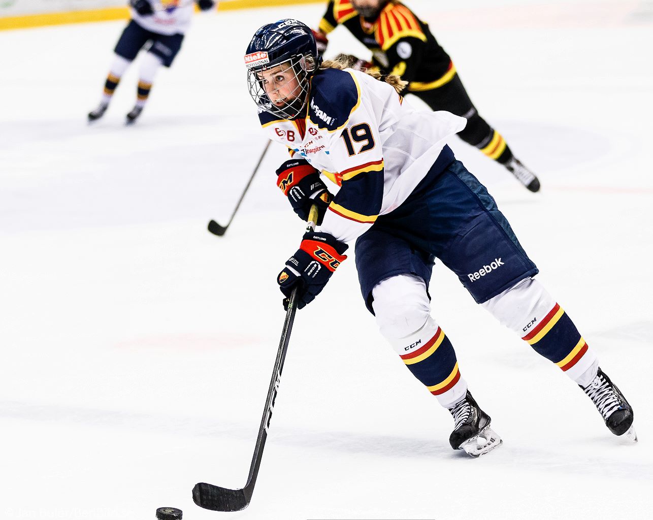 2017-01-14 Brynäs - Djurgården 2017-01-14 Brynäs - Djurgården