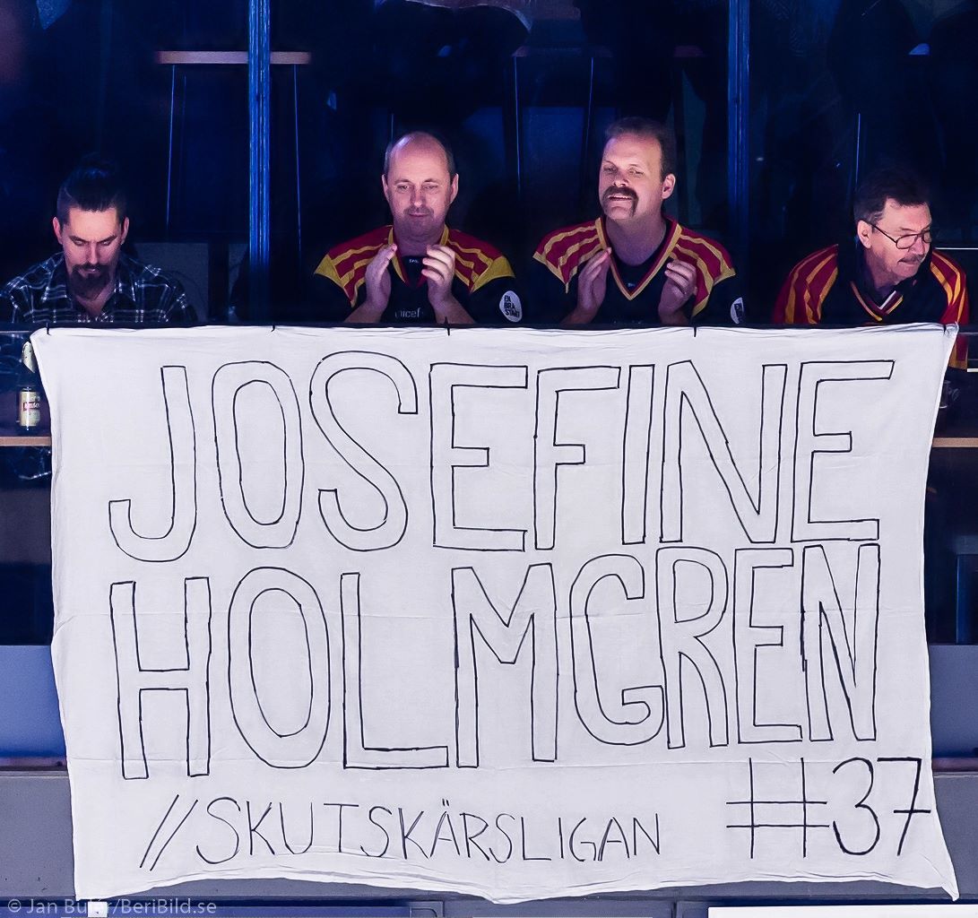 2017-01-14 Brynäs - Djurgården 2017-01-14 Brynäs - Djurgården