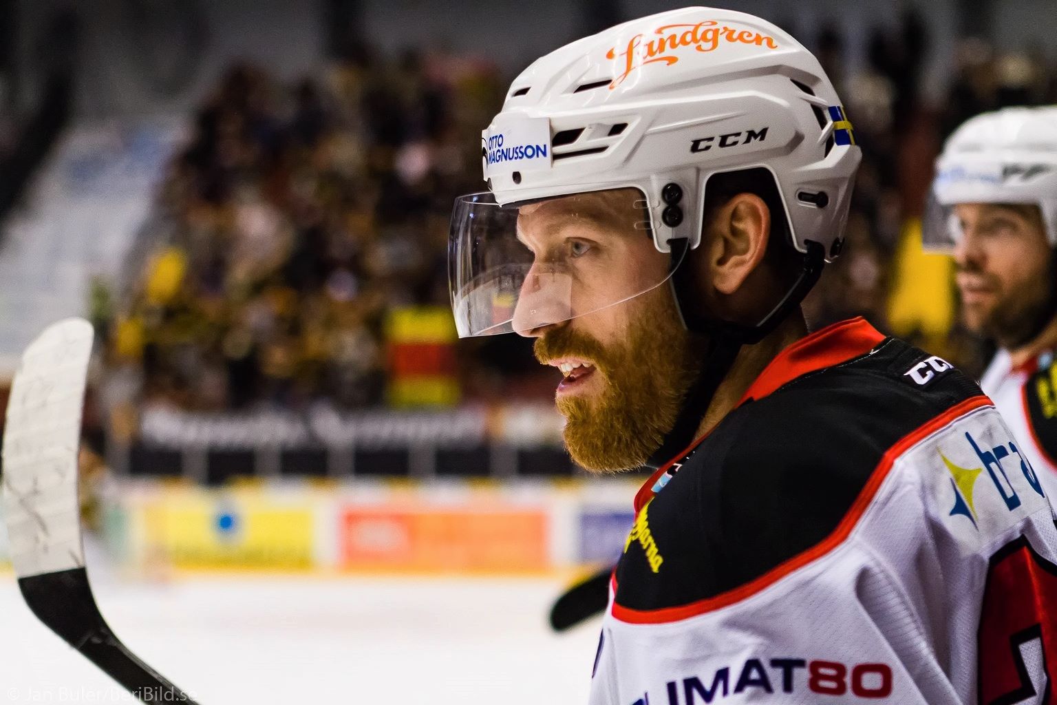 2017-01-28 Brynäs - Malmö