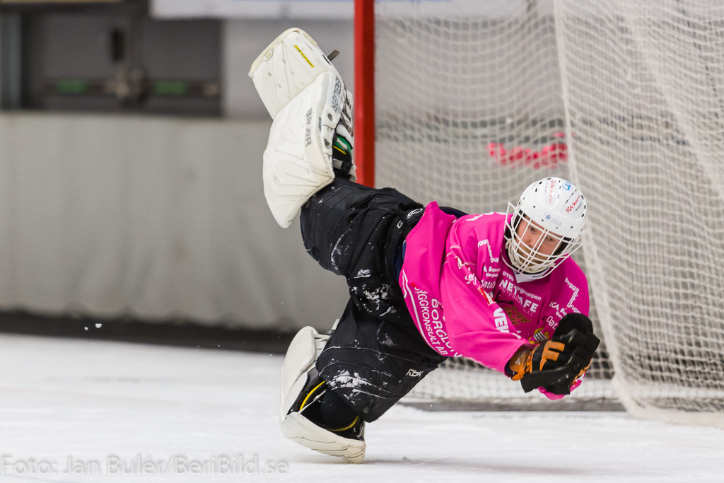 2015-02-27 Sandviken - Hammarby